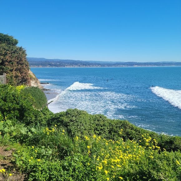 Meet your Posher, Pua - Picture 4 of 4